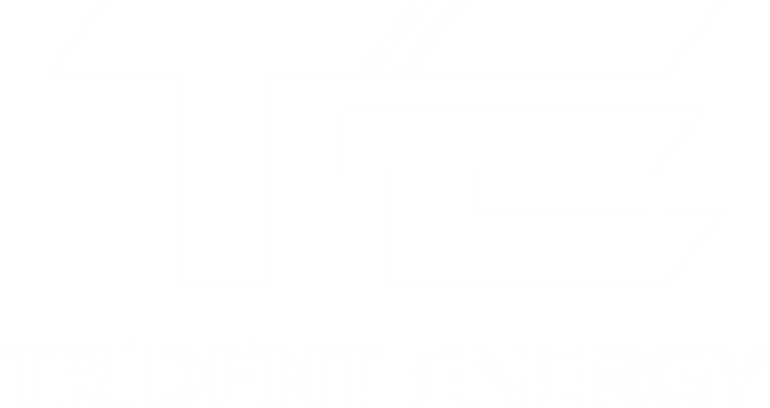 Trident Energy Logo in White Without Background