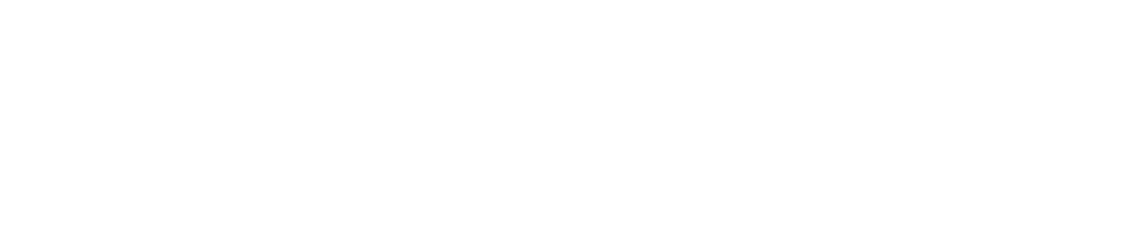 Veerum Logo in White Without Background